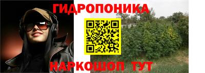 сатива Заводоуковск