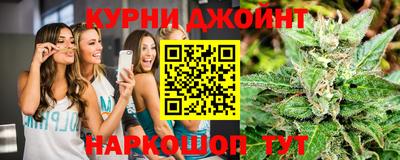 сатива Заводоуковск
