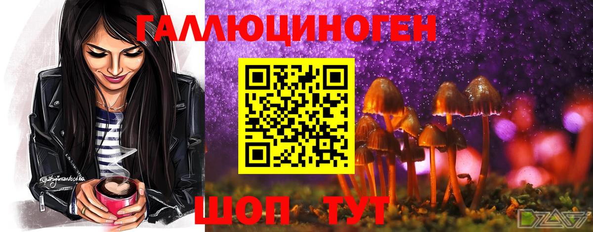 Галлюциногенные грибы мухоморы  Псилоцибиновые грибы Psilocybine cubensis  купить наркотики цена  Дмитров  Вход с VPN 